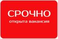Помощник руководителя По подбору персонала