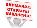 Требуется консультант менеджер.